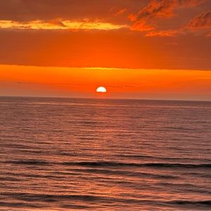 Meet your Posher, Charlene